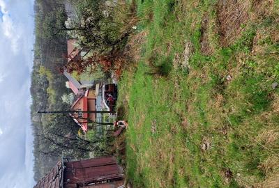 20 de arii si 2 case in Fi?cau - 2