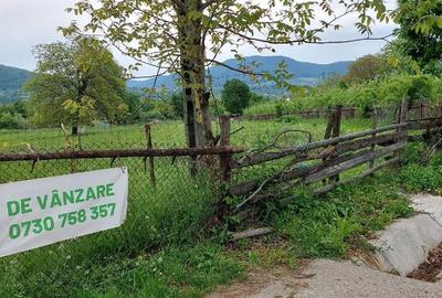 Teren de 3352 mp, în Alexandru cel Bun