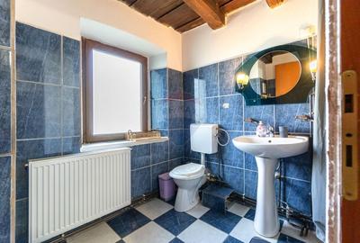 Casa / Vila cu 7 camere de vanzare - 56