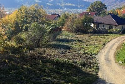 Casă individuală cu 5 camere cu Teren 2700 Mp în Alexandru cel Bun - 46