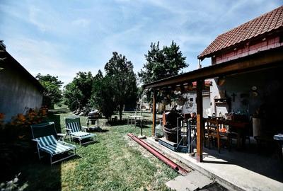 Casă cu Teren 1800 Mp în Pișchia - 4