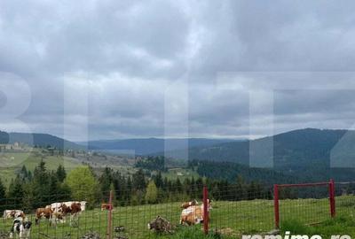 Casă cu 3 camere cu Teren 600 Mp în Beliș - 8