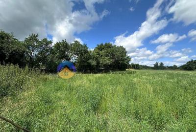 Teren intravilan de vanzare Unghi- jud. Neamt - 3