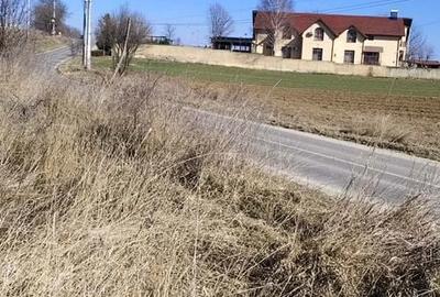 Teren de 1630 mp, în Luizi-Călugăra - 8