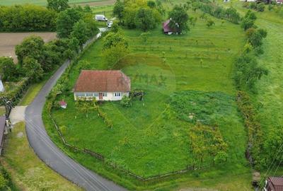 Casa cu teren De Vanzare in Ariesul de Padure - 1