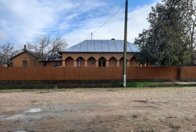 Casă cu 4 camere cu Teren 4870 Mp în Viziru - 2