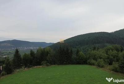 Teren de 5023 mp, în Voroneț - 2