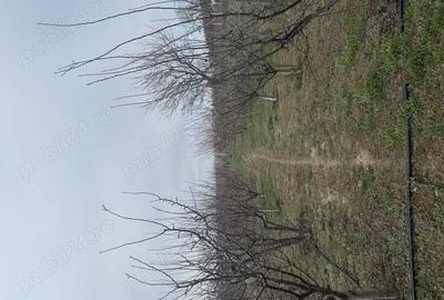 Vand casa - 5