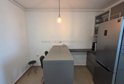Apartament cu 2 camere decomandat, mobilat în Herăstrău - 10