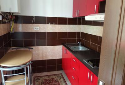 Garsonieră decomandată în Turnișor - 2