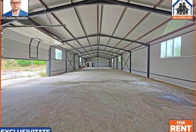 HALA noua | 480mp   700mp parcare | Toate utilitatile | Giurgiu Nord - 6