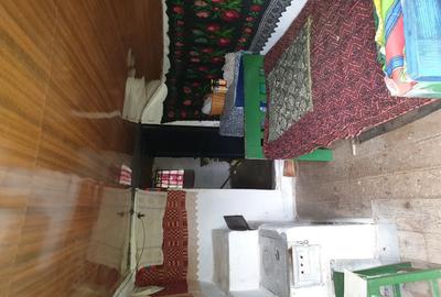 2 camere, 4000 mp,langa lacul Vidraru - 4