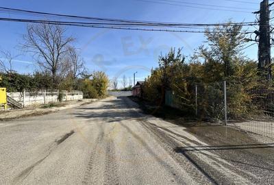 Oportunitate investitie Teren + constructii zona Vama Pitesti - 18