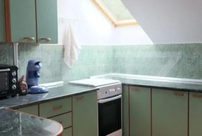 Casă cu 5 camere cu Teren 1207 Mp în Criș - 13