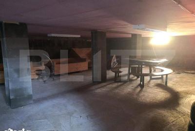 Spațiu comercial, de 1,100 mp, în Dumitra - 13