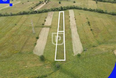 Teren Construcții extravilan de 2832 mp, în Voroneț - 4