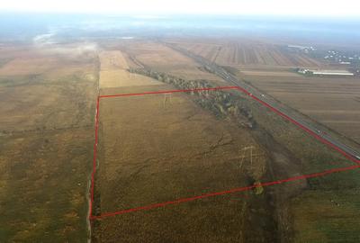 Teren agricol extravilan de 200000 mp, în Florești-Stoenești - 2