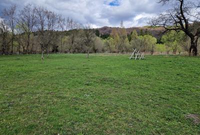 Spațiu comercial, în Teșila - 2