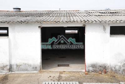 Spațiu comercial, de 20,000 mp, în Semlac - 6