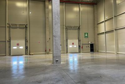 Spațiu industrial, de 8,000 mp, în Giarmata - 3
