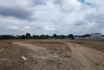 Straulesti Nades teren intravilan 15500 mp deschidere 98 ml - 11