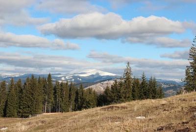 Teren de 10000 mp, în Neagra - 1