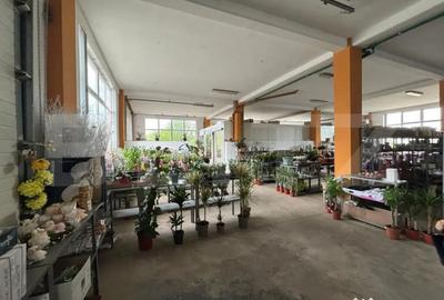 Spațiu comercial, de 330 mp, în Central - 1