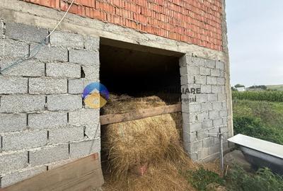 Casa de vanzare - GHINDAOANI - 19