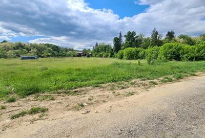 Teren de 5000 mp, în Vlădesti - 9