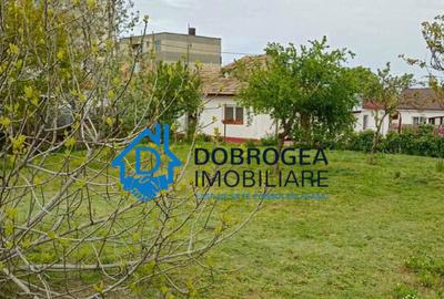 MAHMUDIA-CASA BATRANEASCA 4 CAMERE,TEREN 990 MP. - 1