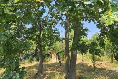 Teren de 572 mp, în Băicoi - 5