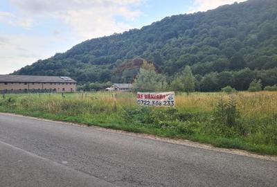 Teren extravilan, 2500 mp, Rasnov, Glajarie - 5