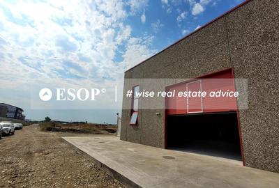 Hale industriale, parc modern, Rudeni, Chitila, Ilfov- ID 15462 Hale industriale, parc modern, Rudeni, Chitila, Ilfov- ID 15462 - 28