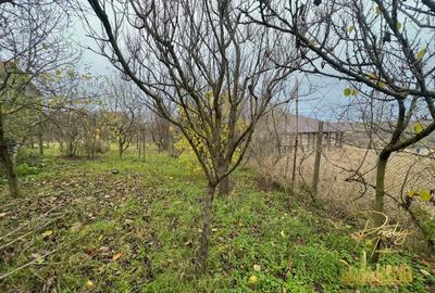 Casa P+M si teren de 1200 mp de vanzare in Uileacu de Munte - Bihor - 3