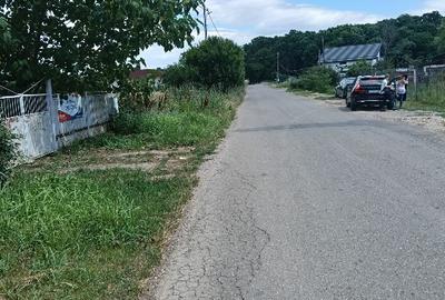 Teren lipia Ilfov intravilan lângă pădure 4400mp - 4