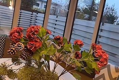 Vila 4 Camere I OTOPENI - 5