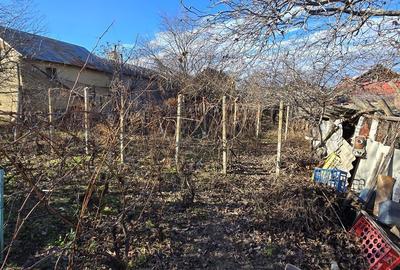 Casă cu 4 camere în Beciu - 13