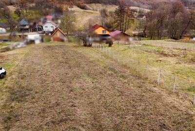 Teren intravilan de 7465 mp, în Peștiș - 4