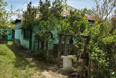 Casă cu 4 camere cu Teren 100 Mp în Plopu - 2