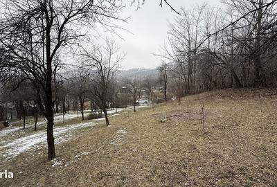 Teren de 4652 mp, în Șotrile - 17