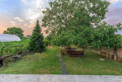 De vanzare vila Cornetu, pentru gospodarul din tine - 30