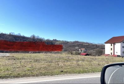 Spațiu comercial, în Băile Felix - 8