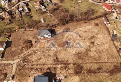 Teren de 10000 mp, în Central - 2