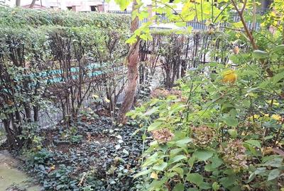 Vanzare Garsoniera 25.4mp, Bdul Ferdinand 131 - 10