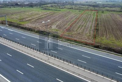 Teren 2727mp | Moara Vlasiei, Caciulati | A3 - 3