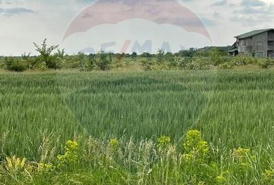 Teren intravilan, un colt de liniste, aflat in Petresti, Corbeanca - 6