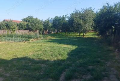 Vand casa in Tau?ii-Magherau? - 3