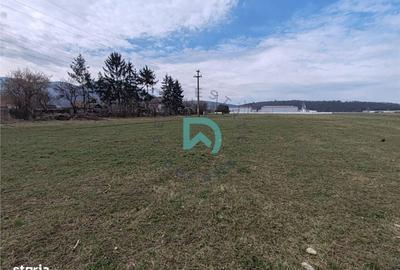 Teren de 6775 mp, în Bartolomeu