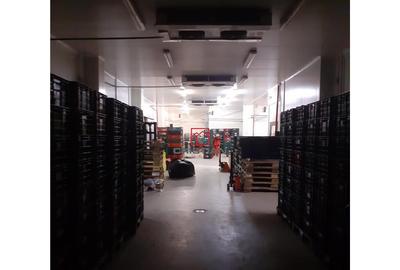 Depozit frigo/spatiu frigorific Militari - Valea Cascadelor - 5