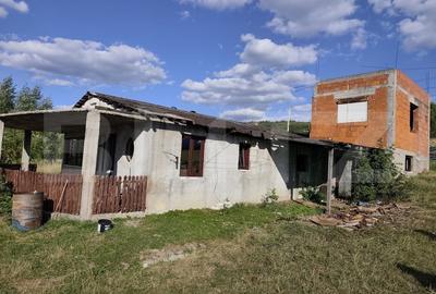 De vanzare casa, zona turistica Vadu Crisului - Bratca, cu teren 5000 mp - 10